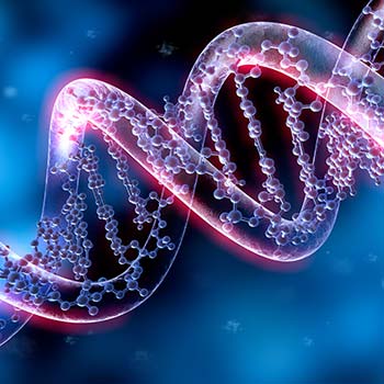 DNA-Sequenz, Nicht Invasiver Pränatal-Test (NIPT)