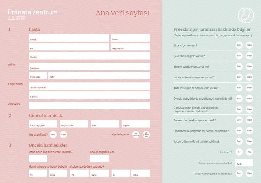 Ana veri sayfası