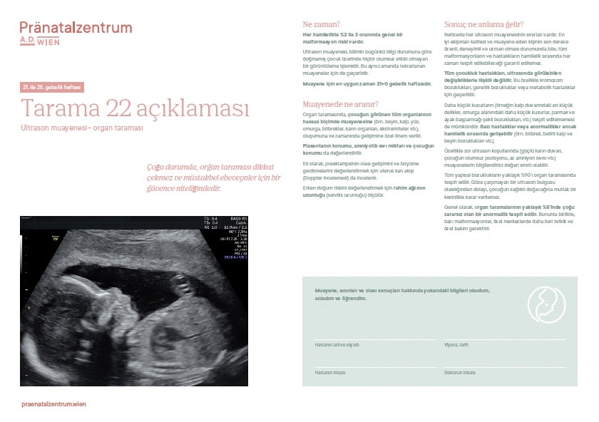 Bilgi sayfası taraması 22